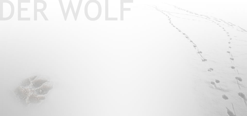 Wolfspur